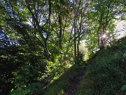 20 Arriva il sole ad asciugare l'erba bagnata di rugiada